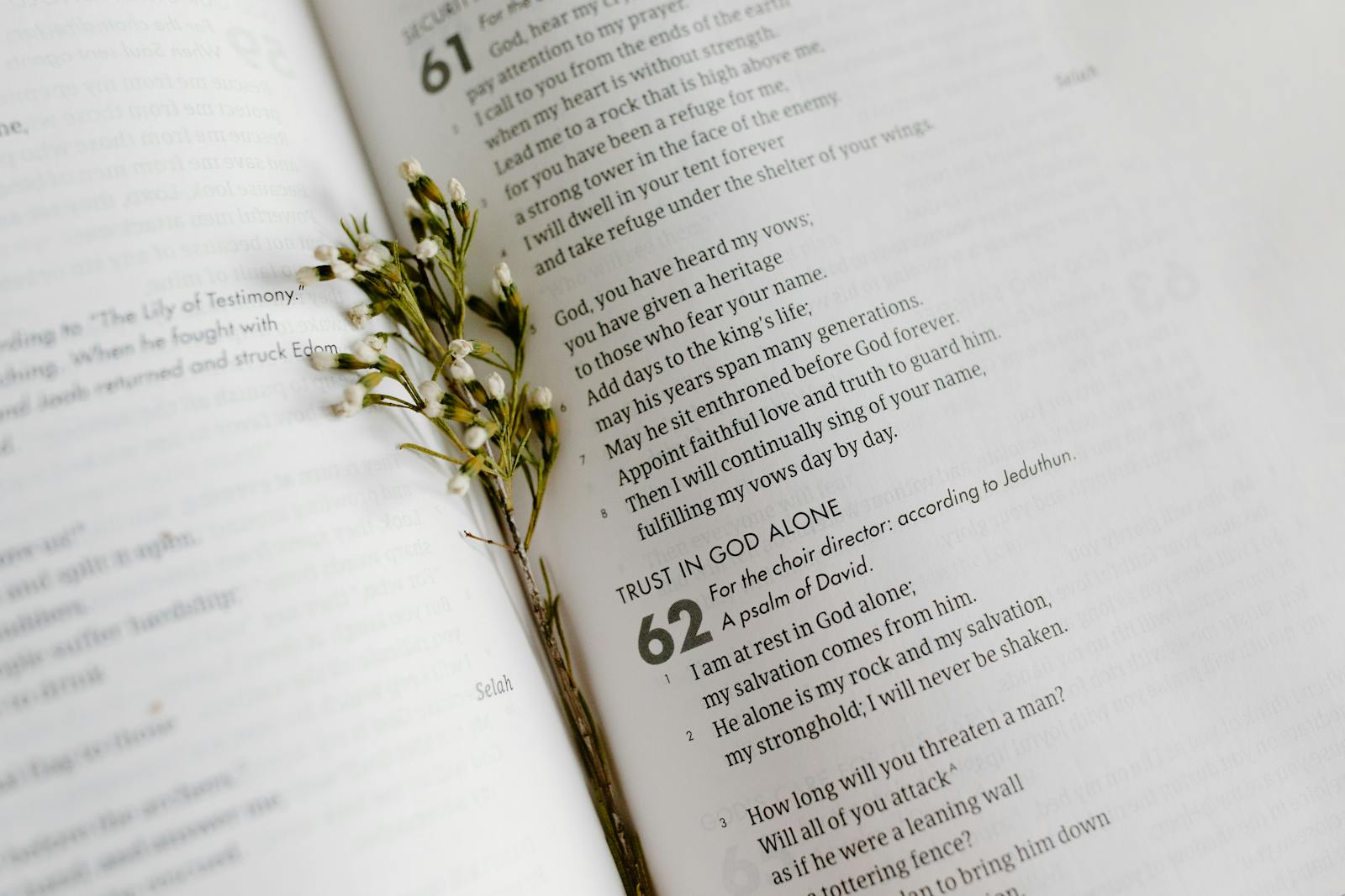 A close-up of an open Bible page with scripture and delicate white flowers.